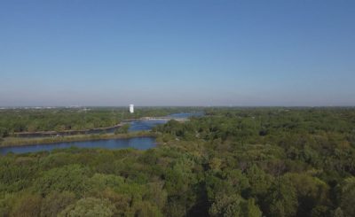 Coon Rapids Forest